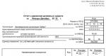 Balance sheet of an NPO and report on the use of funds Balance sheet of a public organization for the year