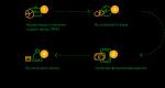 Sberbank Asset Management company - history of creation and current offers